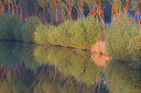 BUITEN BEELD Foto: 310724