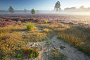 BUITEN BEELD Foto: 310739