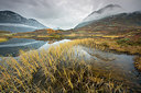BUITEN BEELD Foto: 310742
