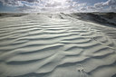 BUITEN BEELD Foto: 310744