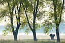 BUITEN BEELD Foto: 310773