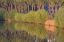 BUITEN BEELD Foto: 310775