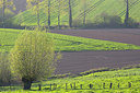 BUITEN BEELD Foto: 310800