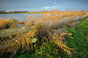 BUITEN BEELD Foto: 310805