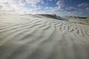 BUITEN BEELD Foto: 310863