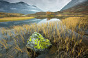 BUITEN BEELD Foto: 310902