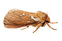 BUITEN BEELD Foto: 311003