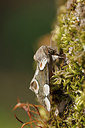 BUITEN BEELD Foto: 311018