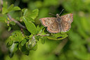BUITEN BEELD Foto: 311020