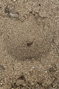 BUITEN BEELD Foto: 311025