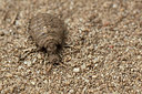 BUITEN BEELD Foto: 311045