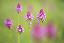 BUITEN BEELD Foto: 311083