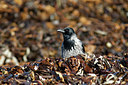 BUITEN BEELD Foto: 311199