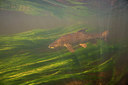 BUITEN BEELD Foto: 311313