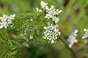 BUITEN BEELD Foto: 311344