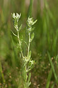 BUITEN BEELD Foto: 311354