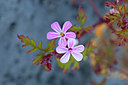 BUITEN BEELD Foto: 311359