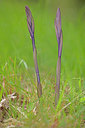 BUITEN BEELD Foto: 311384