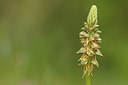 BUITEN BEELD Foto: 311386