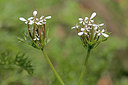 BUITEN BEELD Foto: 311391