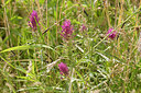 BUITEN BEELD Foto: 311417