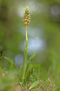 BUITEN BEELD Foto: 311451