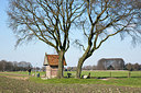 BUITEN BEELD Foto: 311452