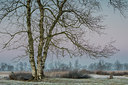 BUITEN BEELD Foto: 311487