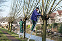 BUITEN BEELD Foto: 311500