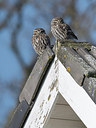 BUITEN BEELD Foto: 311509