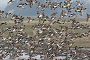 BUITEN BEELD Foto: 311561