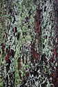 BUITEN BEELD Foto: 311566