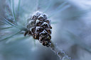 BUITEN BEELD Foto: 311574