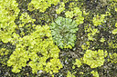 BUITEN BEELD Foto: 311579
