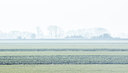 BUITEN BEELD Foto: 311585
