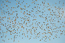 BUITEN BEELD Foto: 311692