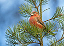 BUITEN BEELD Foto: 311747