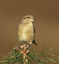 BUITEN BEELD Foto: 311750