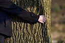 BUITEN BEELD Foto: 311864