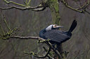 BUITEN BEELD Foto: 311883
