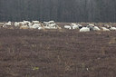 BUITEN BEELD Foto: 311996
