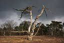 BUITEN BEELD Foto: 312006