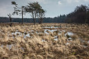 BUITEN BEELD Foto: 312007