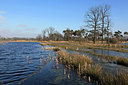 BUITEN BEELD Foto: 312049