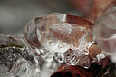BUITEN BEELD Foto: 312066