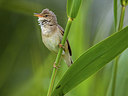 BUITEN BEELD Foto: 312086