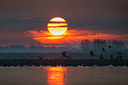 BUITEN BEELD Foto: 312089