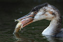 BUITEN BEELD Foto: 312278