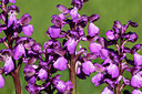 BUITEN BEELD Foto: 312466
