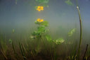 BUITEN BEELD Foto: 312606
